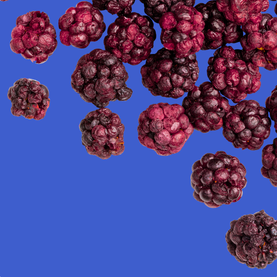 Freeze-dried blackberry ingredients