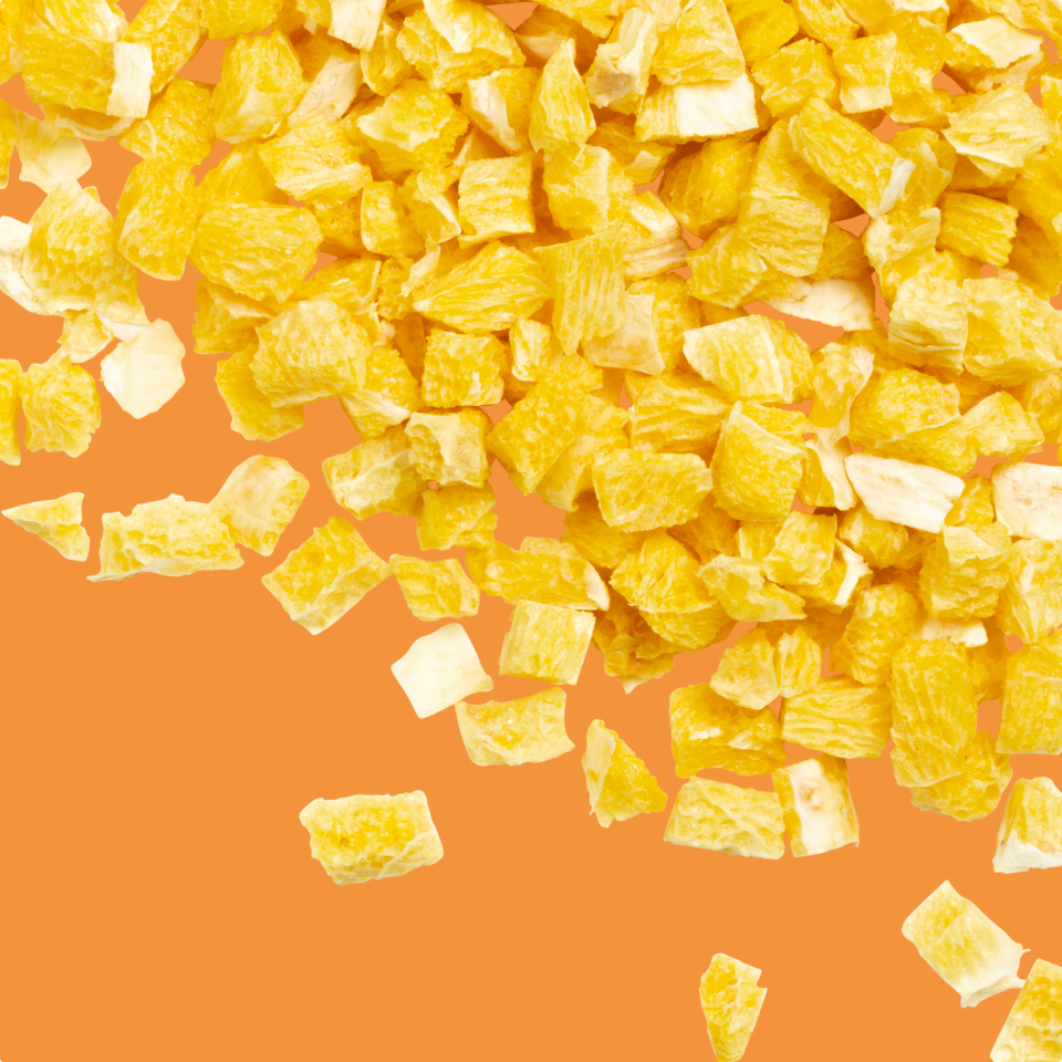 Freeze-dried orange slices